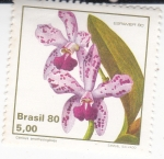 Sellos de America - Brasil -  FLORES