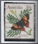 Stamps Australia -  Mariposas. Hairstreak Chlorinda