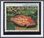 Sellos de Oceania - Australia -  Pez d' Choat