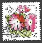 Stamps Russia -  Flores de los Cárpatos. Primula (Primula minima)