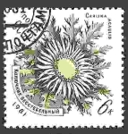 Stamps Russia -  Flores de los Cárpatos. Cardo carino sin tallo (Carlina acaulis)