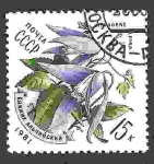 Stamps Russia -  Flores de la Clematis (Atragene alpina)Cárpatos.