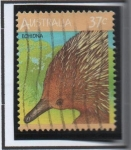Stamps Australia -  Echidna