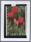 Stamps Australia -  Tulipanes