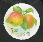 Stamps Russia -  6751 - Manzanas