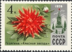 Sellos de Europa - Rusia -  Flores de Moscú. Dalia 