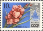 Sellos de Europa - Rusia -  Flores de Moscú. Gladiolo 