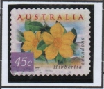 Sellos de Oceania - Australia -  chidbbertia