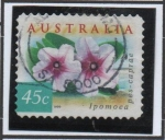 Stamps Australia -  Pomoea pes-caprae