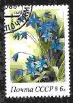 Stamps : Europe : Russia :  Flor