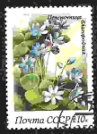 Stamps Russia -  Flor