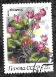 Stamps Russia -  flor