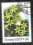 Stamps Russia -  flor