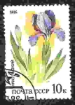Stamps Russia -   Plantas de estepas rusas. Iris