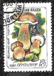 Stamps Russia -  Hongo