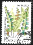 Stamps : Europe : Russia :  Planta