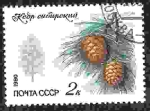 Stamps Russia -  Planta