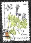 Stamps Russia -  Planta