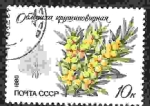 Stamps Russia -  Planta