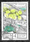 Stamps Russia -  Flores del Cáucaso 1ª Serie