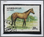 Stamps Azerbaijan -  Caballos: Shown