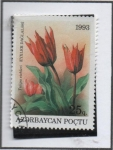 Sellos de Asia - Azerbaiyán -  Tulipanes