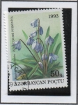 Sellos de Asia - Azerbaiyn -  Puschkinia
