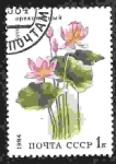 Stamps Russia -  Flores acuáticas. Loto (Nelumbo nucifera)
