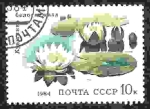 Stamps Russia -  Flores acuáticas. Nenúfares blancos (Nymphaea alba)