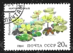 Stamps Russia -  Flores acuáticas. Flores de pantano (Nymphoides peltata)