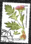 Stamps Russia -  plantas medicinales detectadas en Siberia. Aciano 