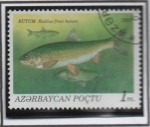 Sellos de Asia - Azerbaiyn -  Peces: Rutilus Frisil