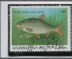 Stamps Azerbaijan -  Peces: Rutilus 