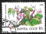 Sellos de Europa - Rusia -   Flores del bosque caducifolio. Guisante de primavera (Orobus vernus)