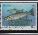 Stamps Azerbaijan -  Peces: Salmon