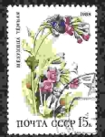 Stamps Russia -  Flores del bosque caducifolio. Lungwort (Pulmonaria obscura)