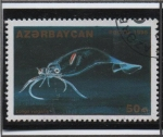 Stamps Azerbaijan -  Loligo Vulgaris