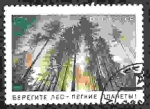 Stamps Russia -  Conservación de la naturaleza. ¡Protege el bosque - Pulmones del planeta!
