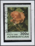 Stamps Azerbaijan -  Rosas: Lady