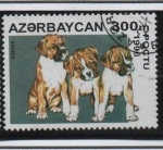 Sellos de Asia - Azerbaiy�n -  Perros: Boxer