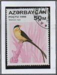 Sellos de Asia - Azerbaiyn -  Pajaros: Tetraenura
