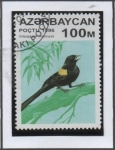 Sellos de Asia - Azerbaiyn -  Pajaros: Coliuspasser