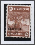 Sellos de Asia - Bangladesh -  Fruta