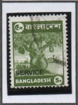 Stamps Bangladesh -  Fruta