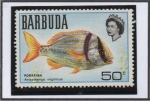 Stamps : America : Antigua_and_Barbuda :   Peces: Anisotremus virginicus