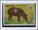 Stamps Belize -  Tapiz