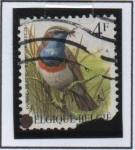 Stamps Belgium -  Pájaros: Gorge Azul