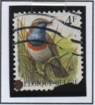 Sellos de Europa - Blgica -  Pájaros: Gorge Azul