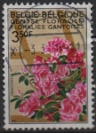 Stamps Belgium -  Rosas