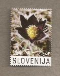 Sellos del Mundo : Europe : Slovenia : Flora del karst